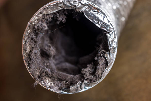 Best Ventilation Cleaning Services  in Rosepine, LA
