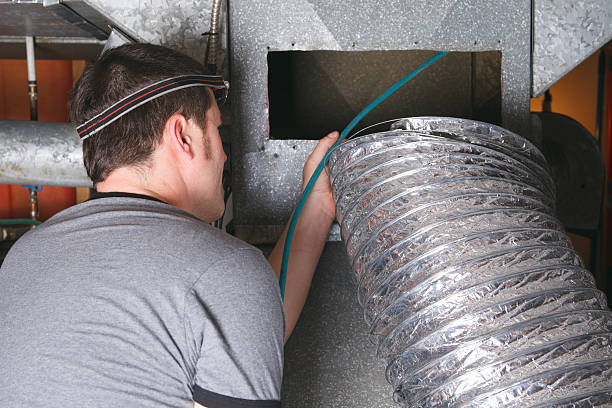 Best Air Duct Mold Removal  in Rosepine, LA