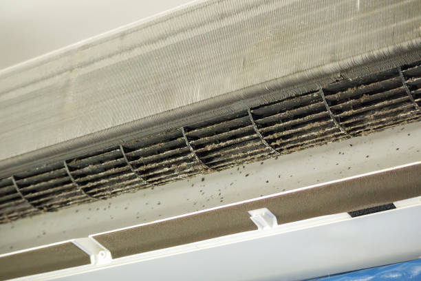  Rosepine, LA Airduct Cleaning Pros