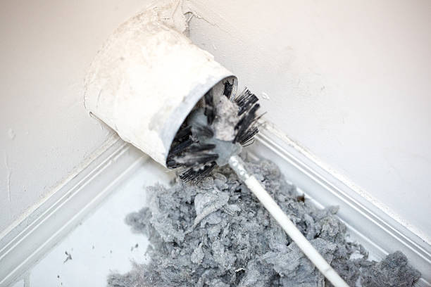 Best Ductwork Cleaning Services  in Rosepine, LA