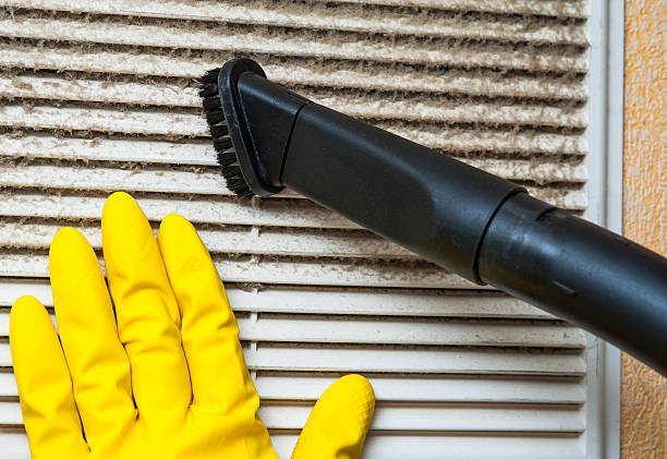 Air Duct Mold Removal in Rosepine, LA